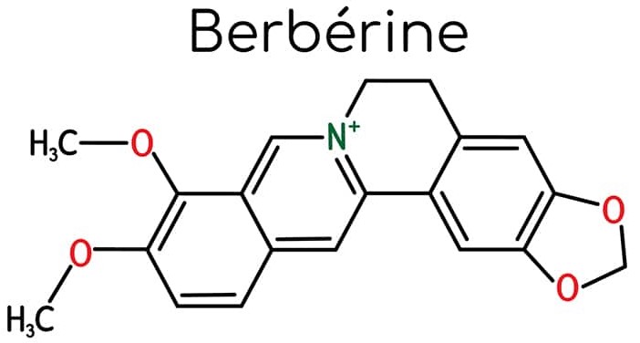 schéma moléculaire de la berbérine 